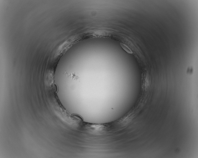 X0000111660478200907171614