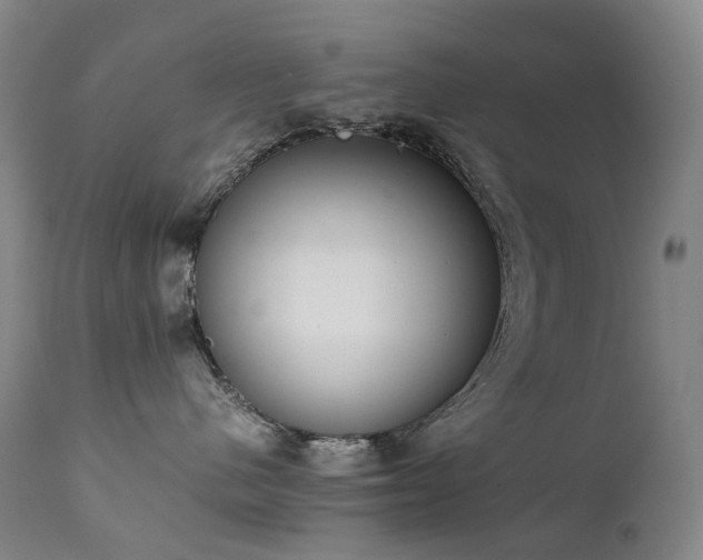X0000111660480200907171614