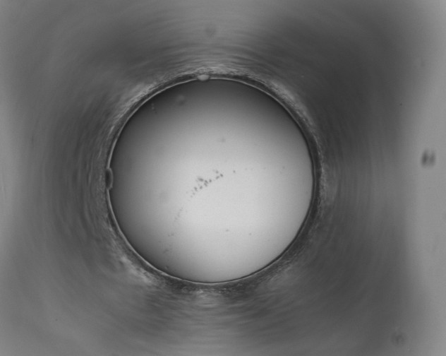 X0000111660481200907171613