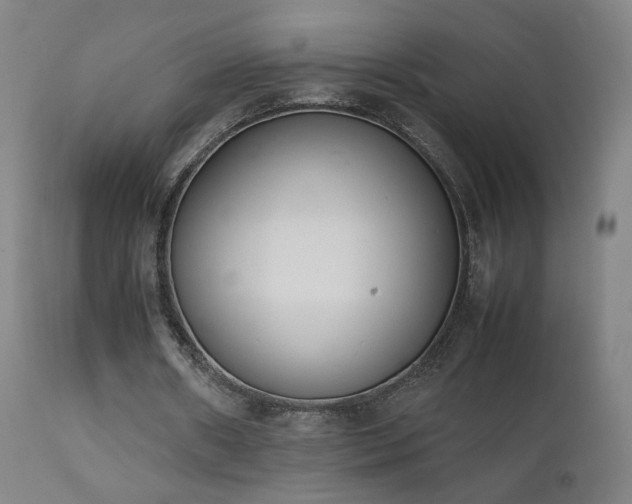 X0000111660482200907171613