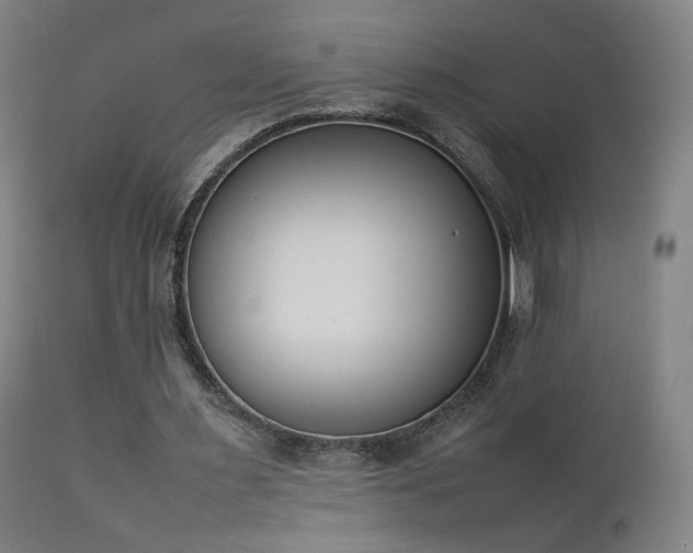 X0000111660483200907171613