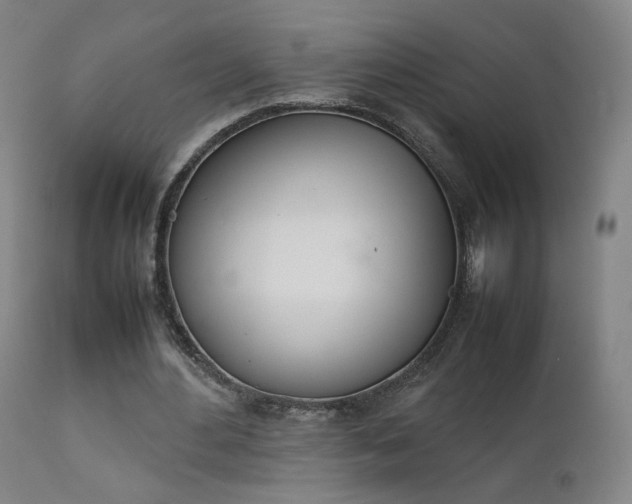 X0000111660484200907171613