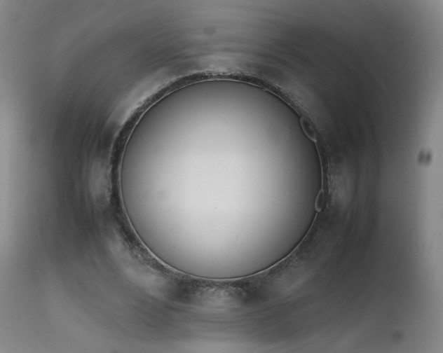 X0000111660488200907171613