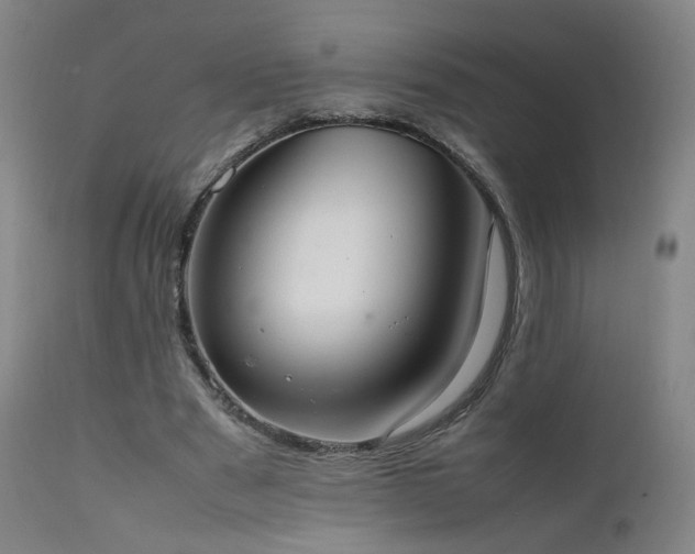 X0000111660489200907171613
