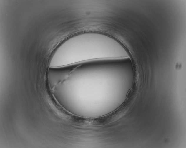 X0000111660493200907171613