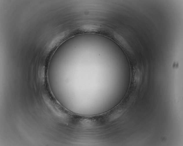 X0000111660494200907171613