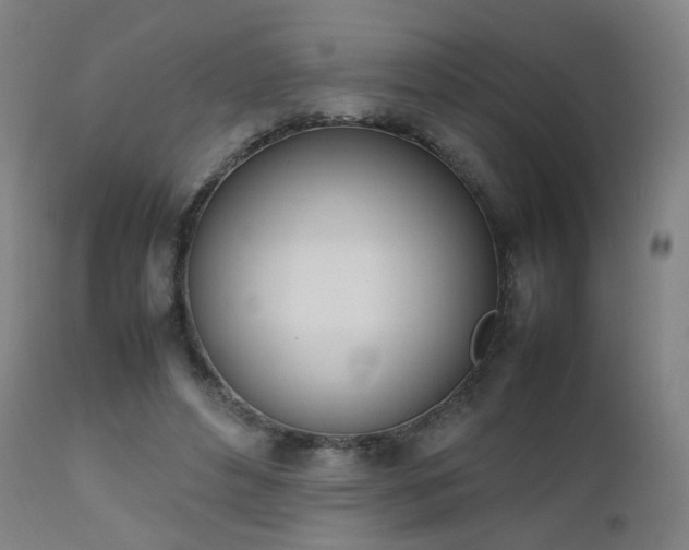 X0000111660496200907171613