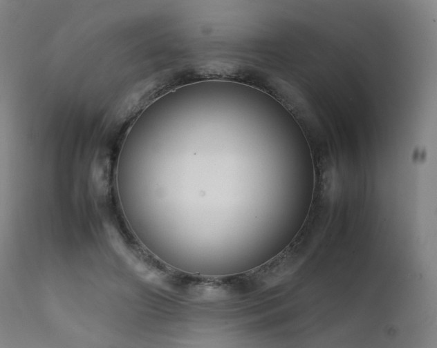 X0000111660498200907171613