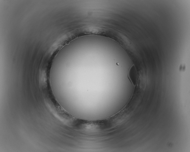 X0000111660500200907171613