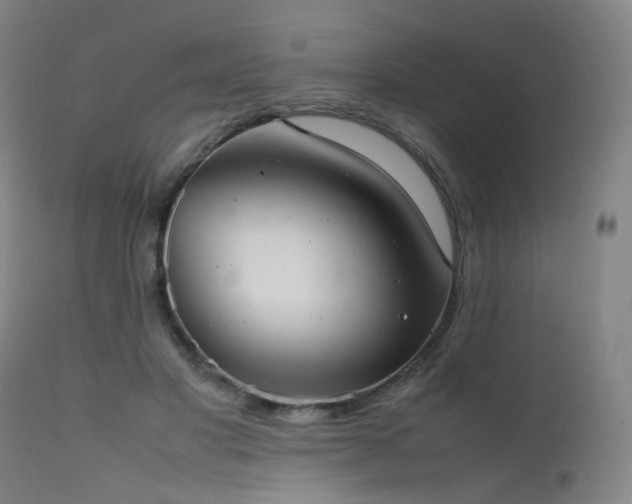 X0000111660501200907171613
