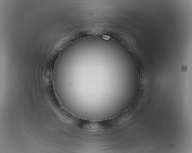 X0000111660503200907171613