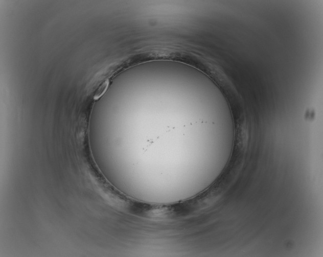 X0000111660505200907171613
