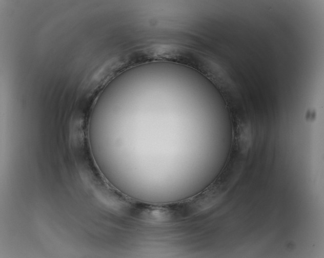 X0000111660506200907171613