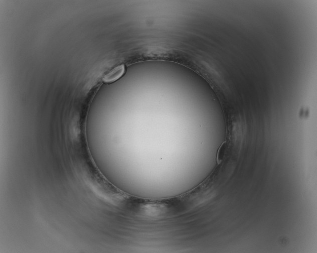 X0000111660508200907171613