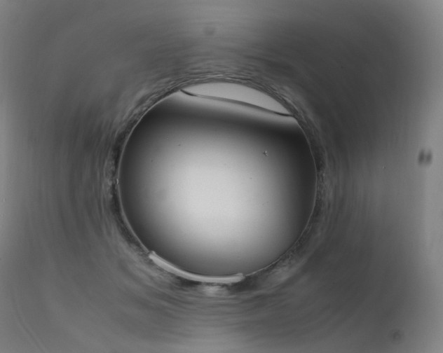 X0000111660509200907171613