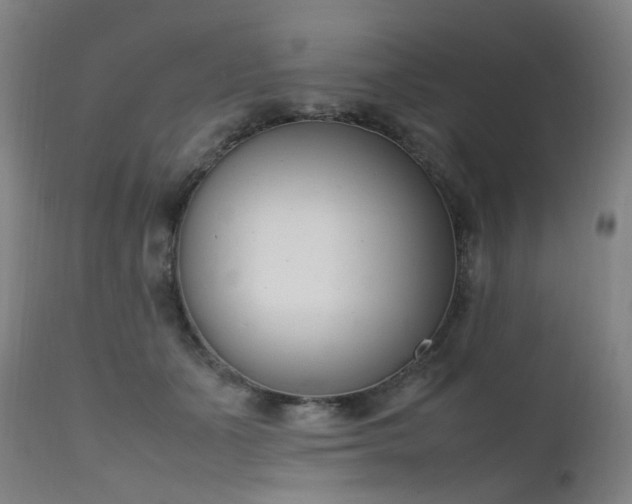 X0000111660511200907171613