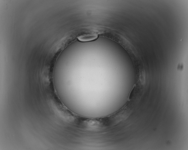 X0000111660512200907171613