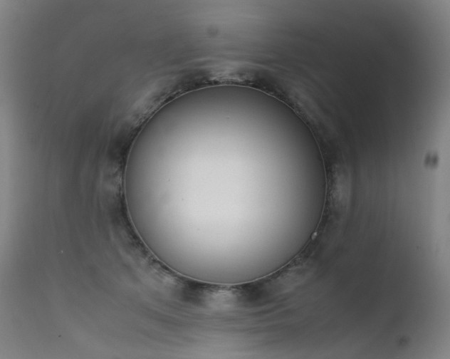 X0000111660513200907171613