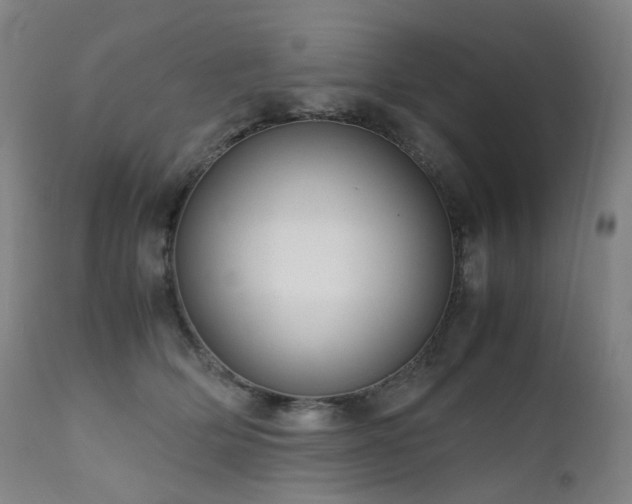 X0000111660514200907171613