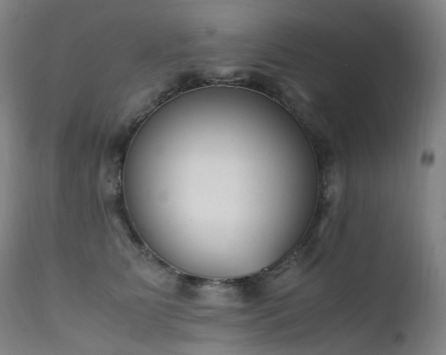 X0000111660515200907171613