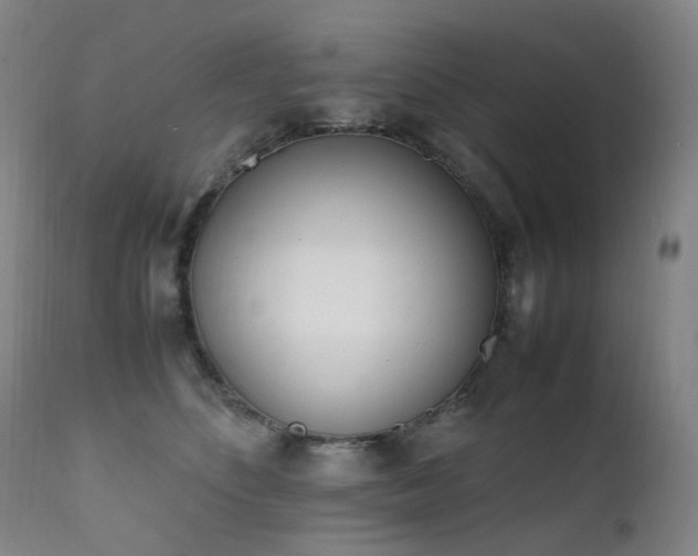 X0000111660516200907171613