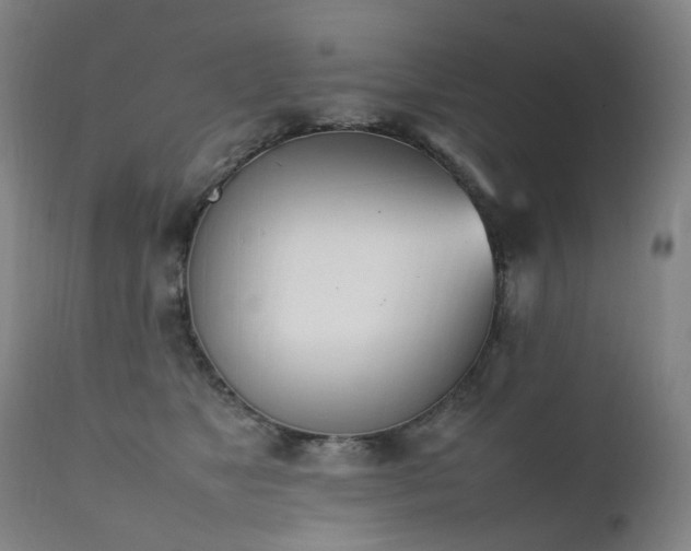 X0000111660517200907171613