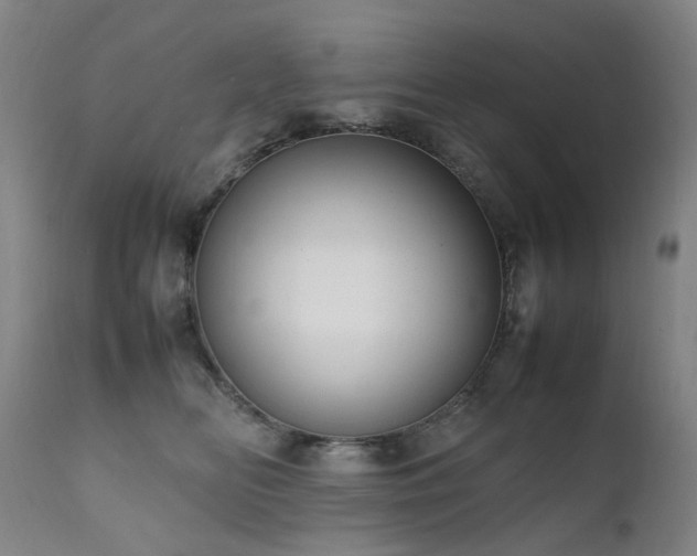 X0000111660518200907171613