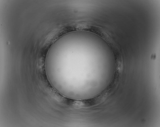 X0000111660519200907171613