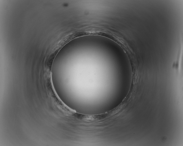X0000111660521200907171613