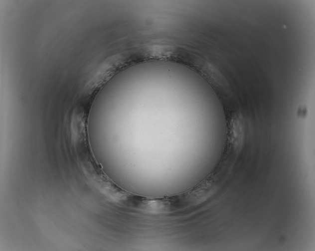 X0000111660522200907171613