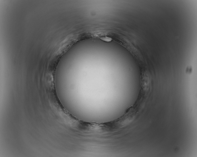 X0000111660523200907171613