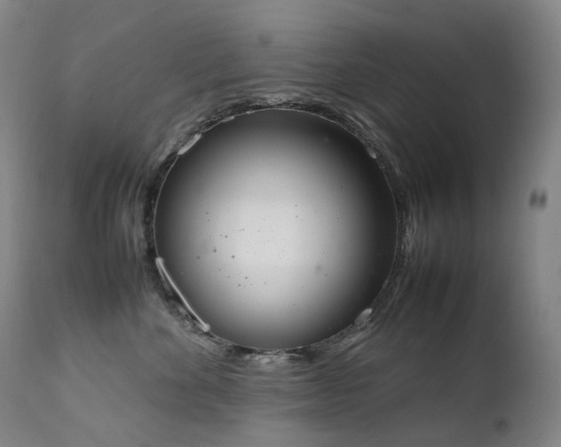 X0000111660524200907171613