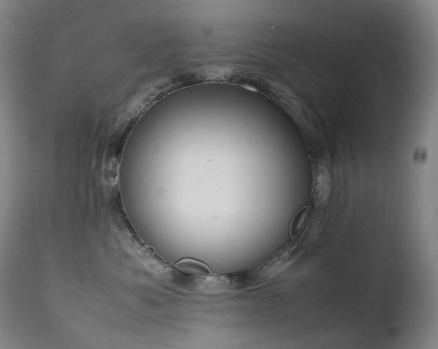 X0000111660525200907171613