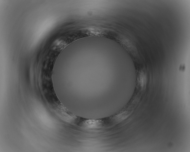 X0000111660526200907171613
