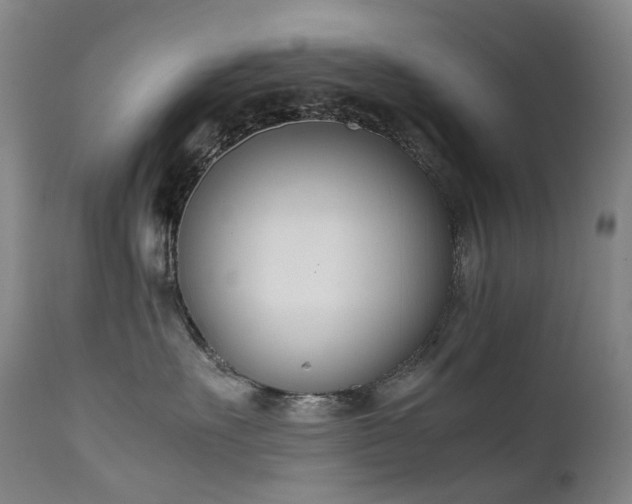 X0000111660527200907171613