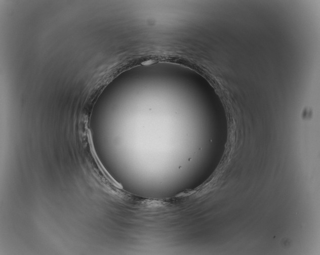 X0000111660528200907171613