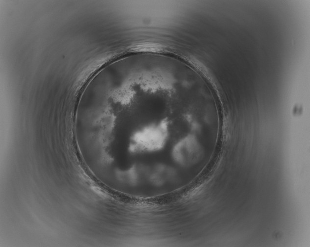 X0000111660529200907171612