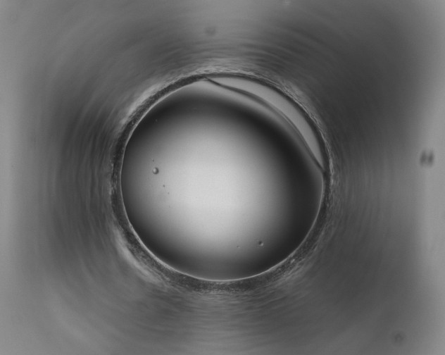 X0000111660530200907171612