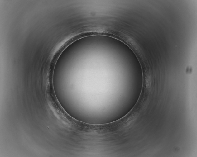 X0000111660532200907171612