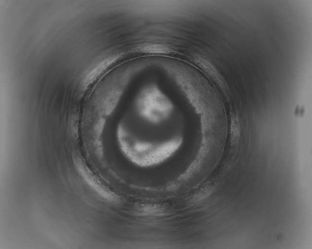 X0000111660533200907171612