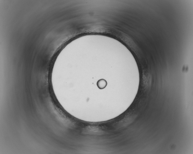 X0000111660534200907171612
