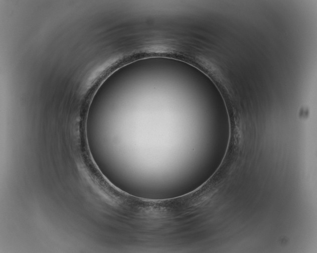 X0000111660535200907171612