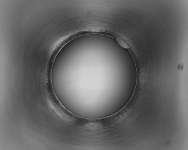 X0000111660536200907171612