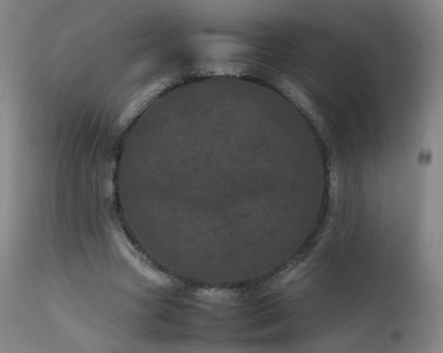 X0000111660537200907171612