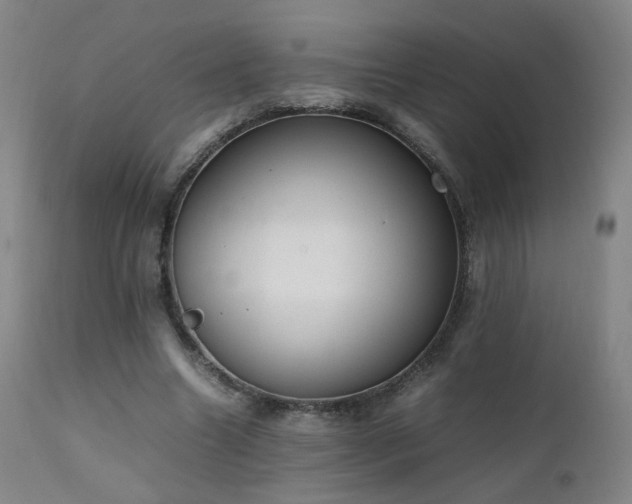 X0000111660538200907171612
