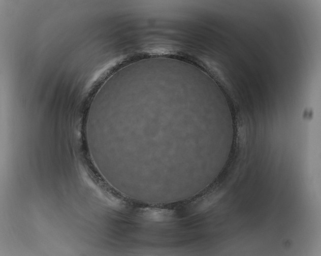 X0000111660539200907171612