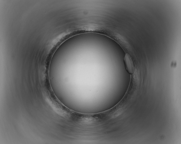X0000111660540200907171612