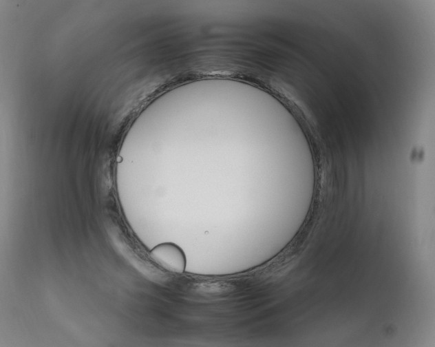 X0000111660541200907171612