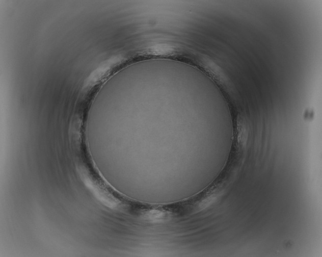 X0000111660542200907171612