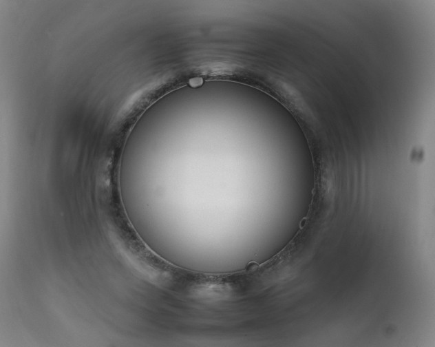X0000111660543200907171612
